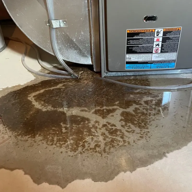 Pipe Burst and Leak Restoration in Guthrie County, IA