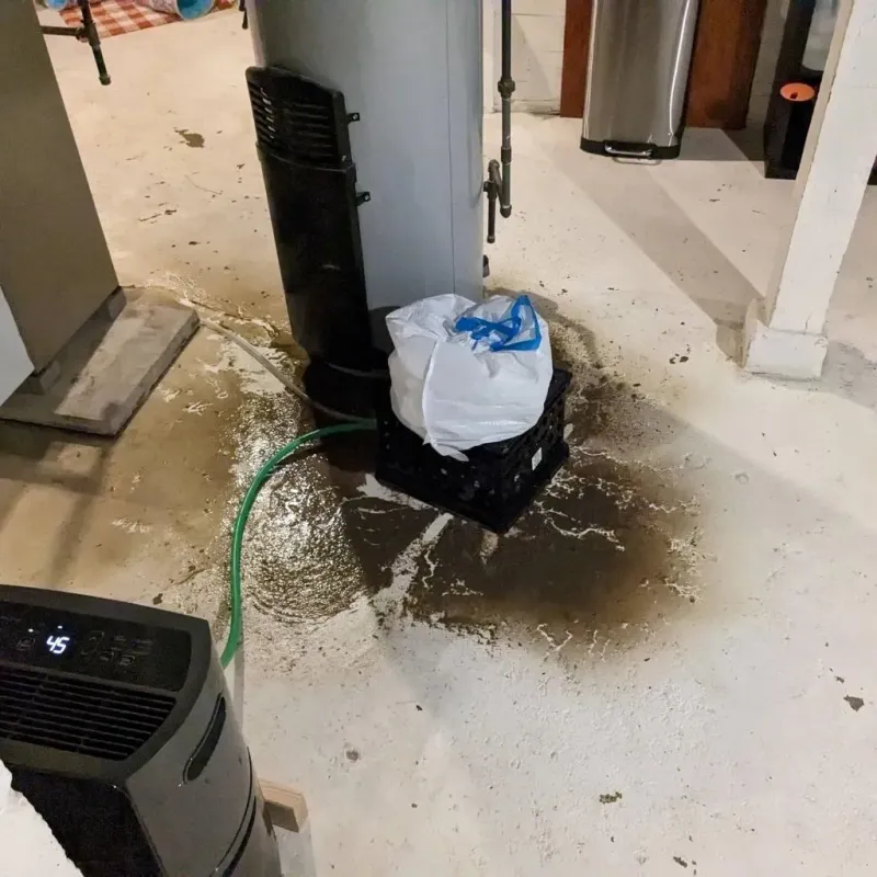Sewage Backup Cleanup Service in Guthrie County, IA